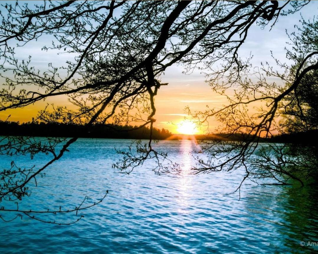 Close To The Metro And The Beach!!! With A View Of The Scandinavian Forest สต็อกโฮล์ม ภายนอก รูปภาพ