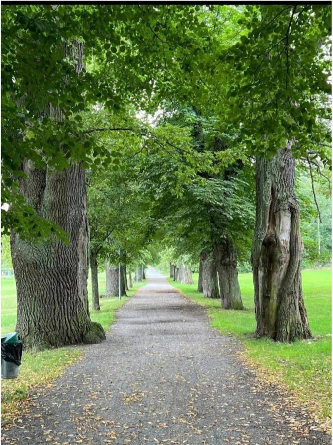 Close To The Metro And The Beach!!! With A View Of The Scandinavian Forest สต็อกโฮล์ม ภายนอก รูปภาพ